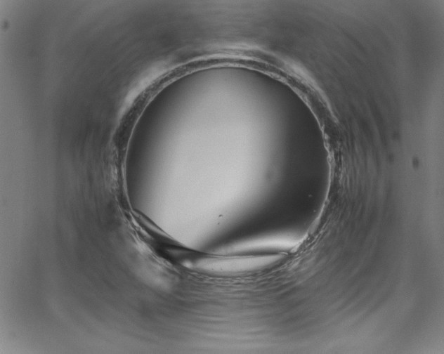 X0000065981360200603061204