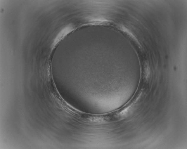 X0000065981362200603061204