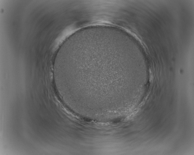 X0000065981363200603061204