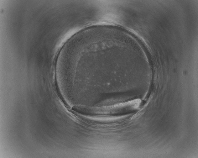 X0000065981367200603061204