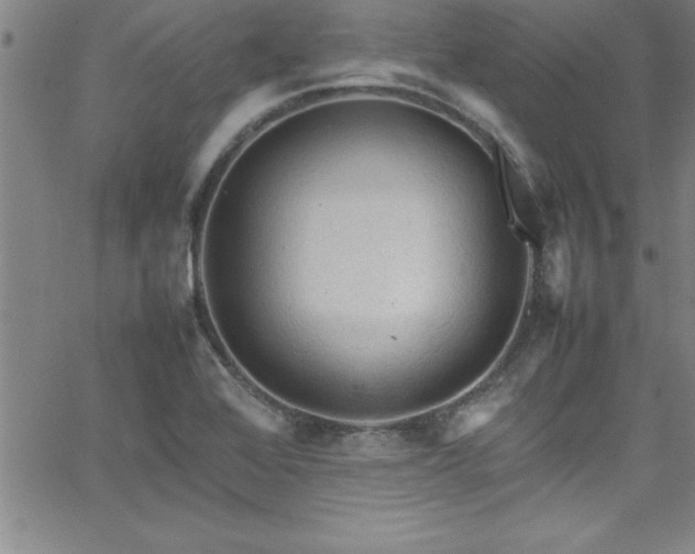 X0000065981368200603061204