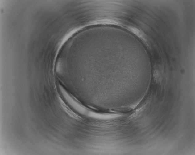 X0000065981372200603061204