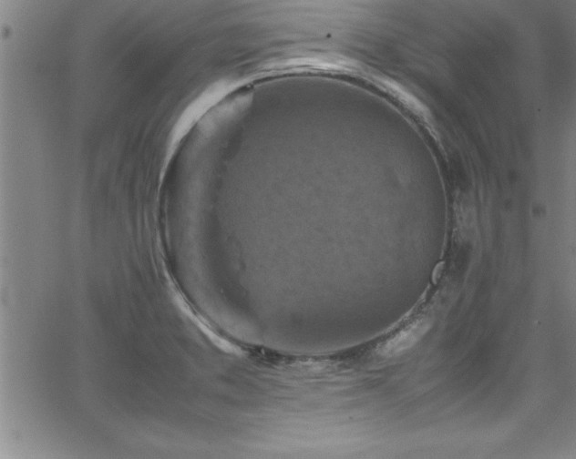 X0000065981373200603061204