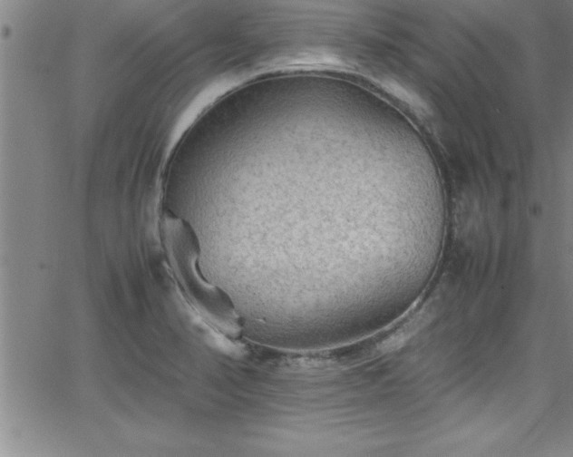 X0000065981374200603061204