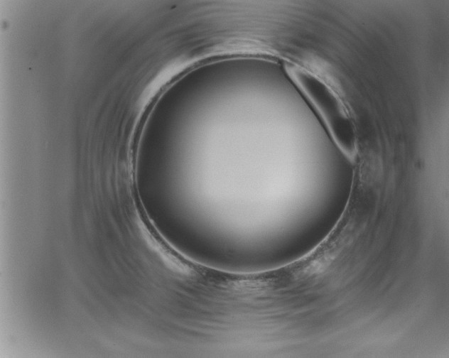 X0000065981380200603061204