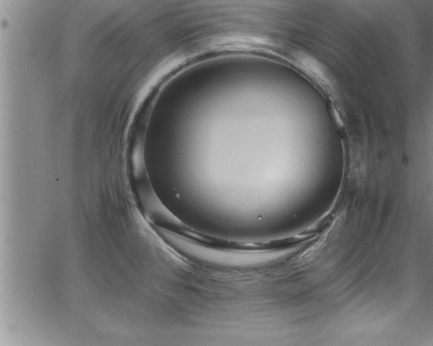 X0000065981384200603061203