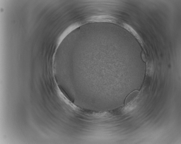 X0000065981386200603061203