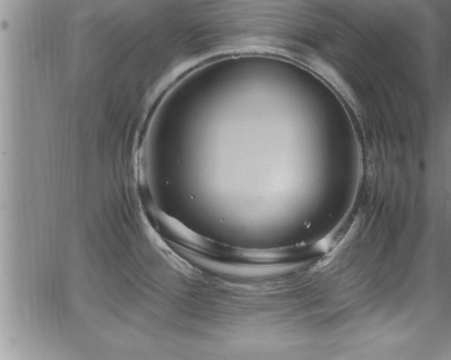 X0000065981388200603061203