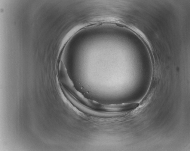 X0000065981389200603061203