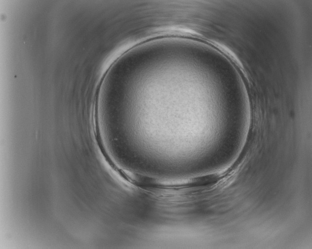 X0000065981391200603061203