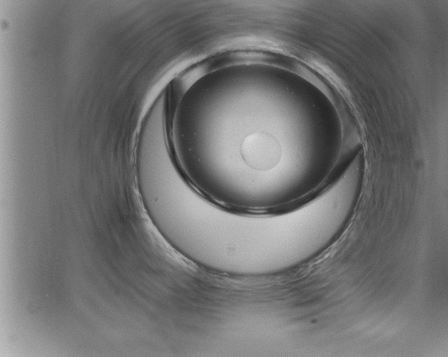 X0000065981392200603061203