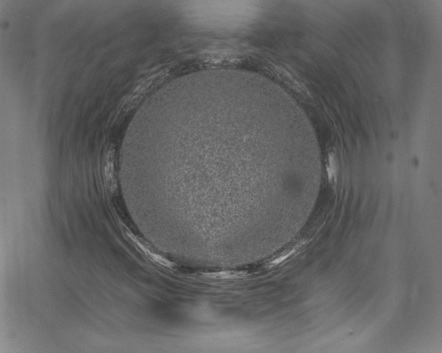 X0000065981396200603061203