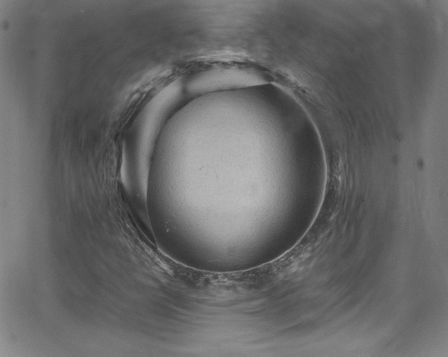 X0000065981398200603061203