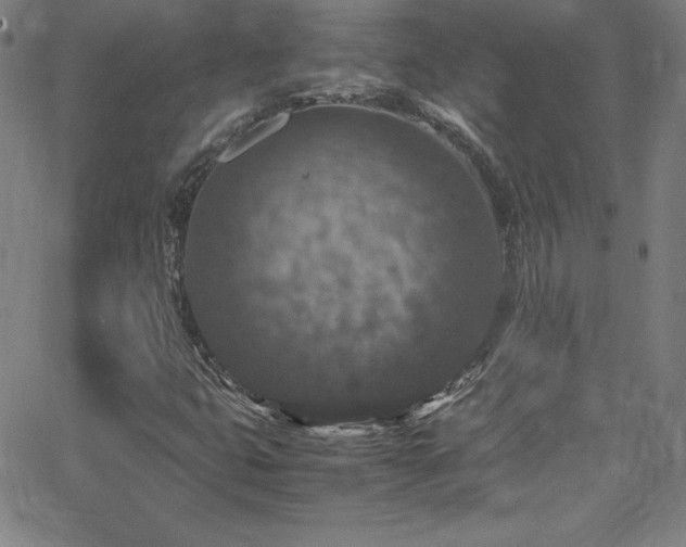 X0000065981399200603061203