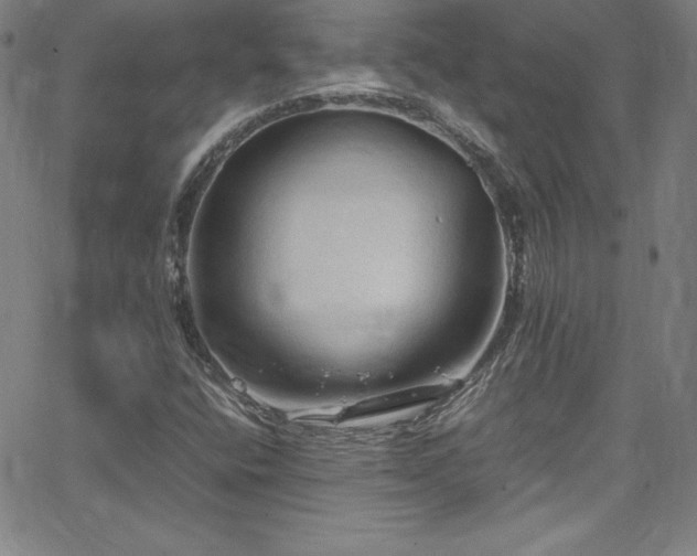 X0000065981400200603061203