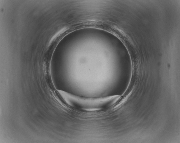 X0000065981402200603061203