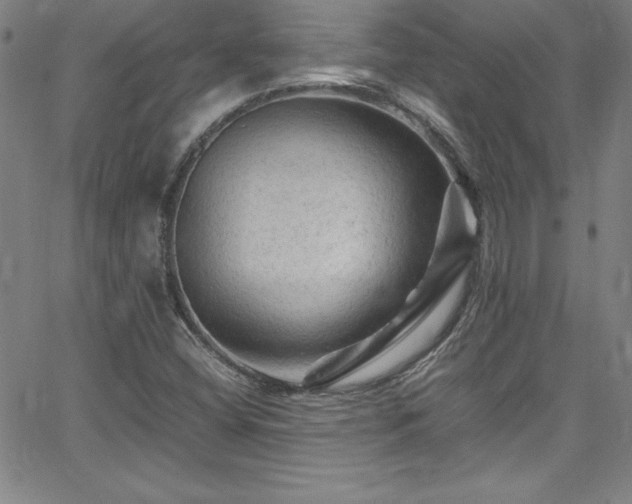 X0000065981404200603061203