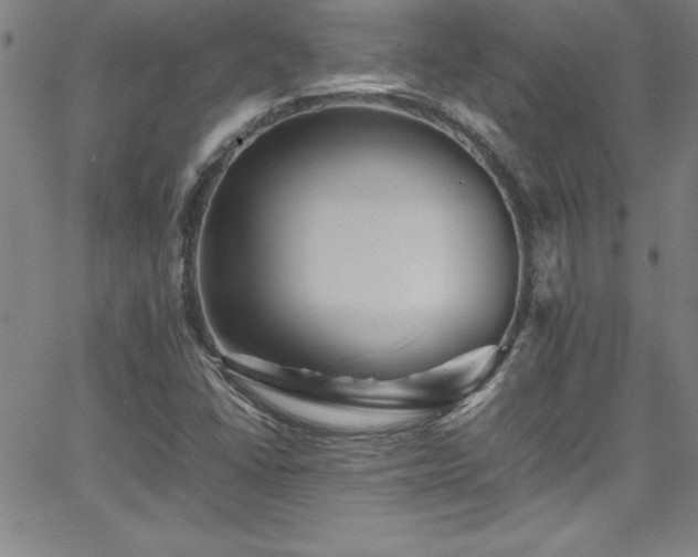 X0000065981406200603061203