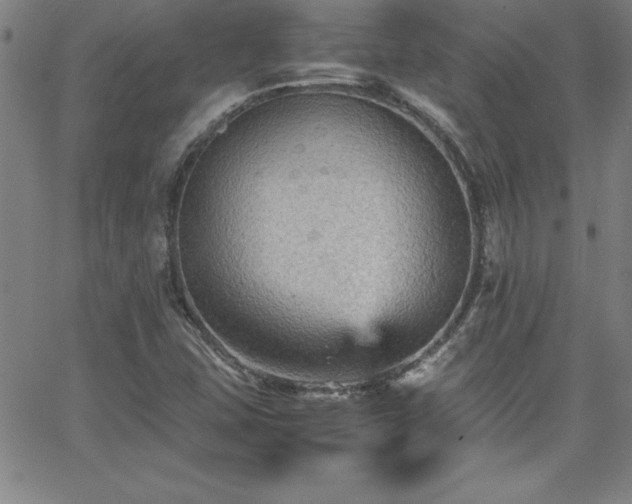 X0000065981407200603061203