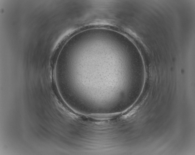 X0000065981408200603061203