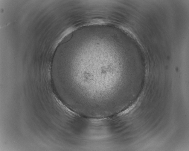 X0000065981409200603061203