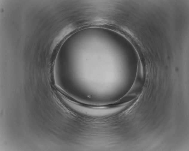 X0000065981410200603061203