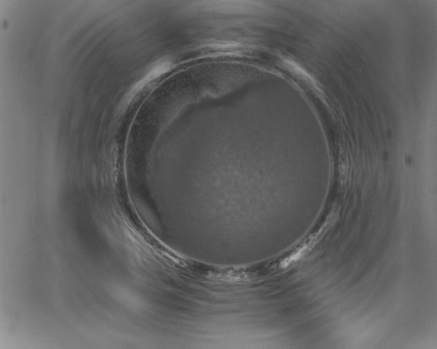 X0000065981411200603061203