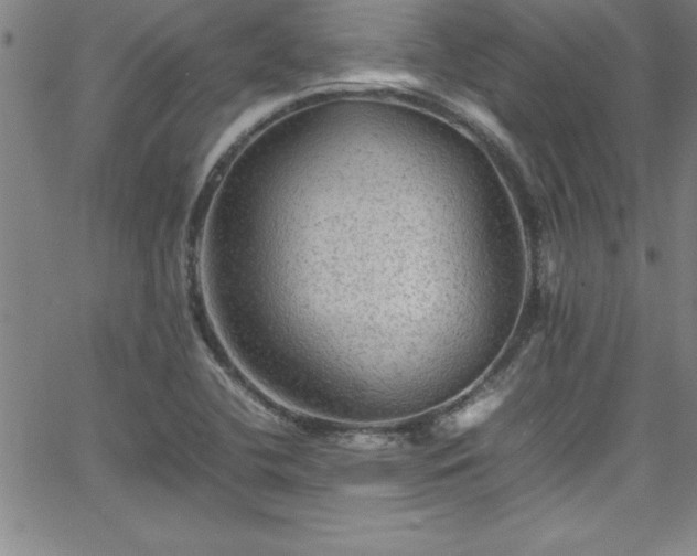 X0000065981412200603061203