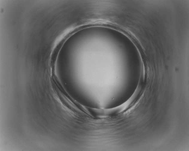 X0000065981414200603061203