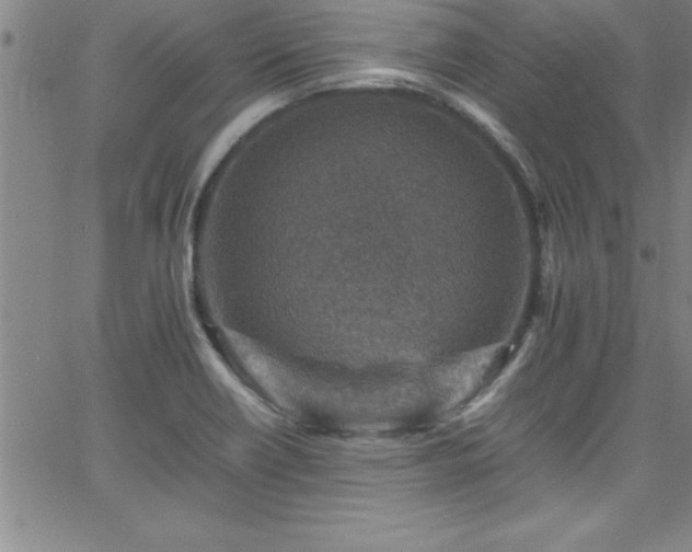 X0000065981418200603061203