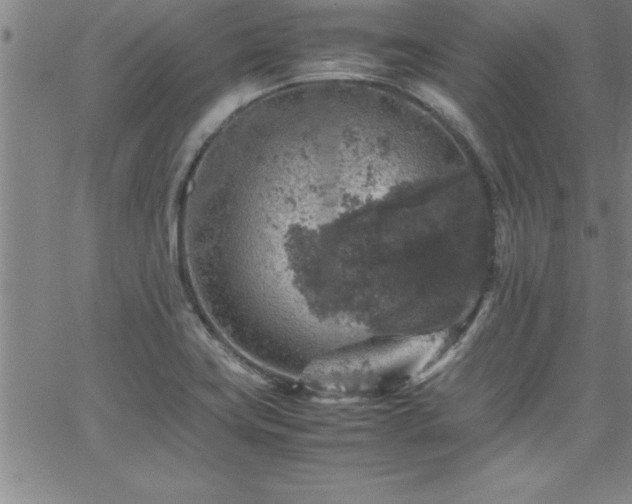 X0000065981419200603061203