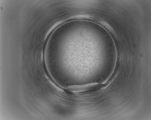 X0000065981420200603061203