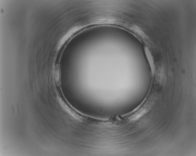 X0000065981422200603061203