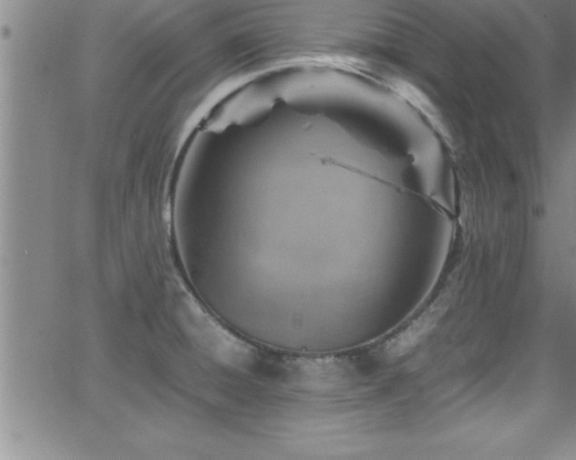 X0000065981428200603061203