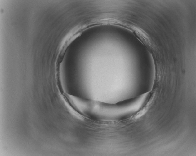 X0000065981430200603061203