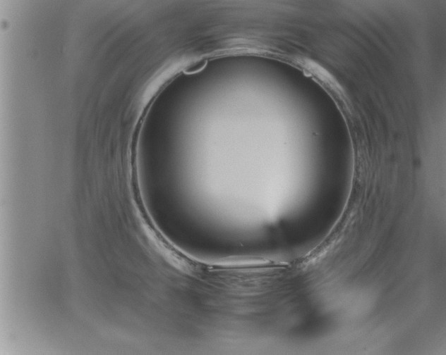 X0000065981431200603061203