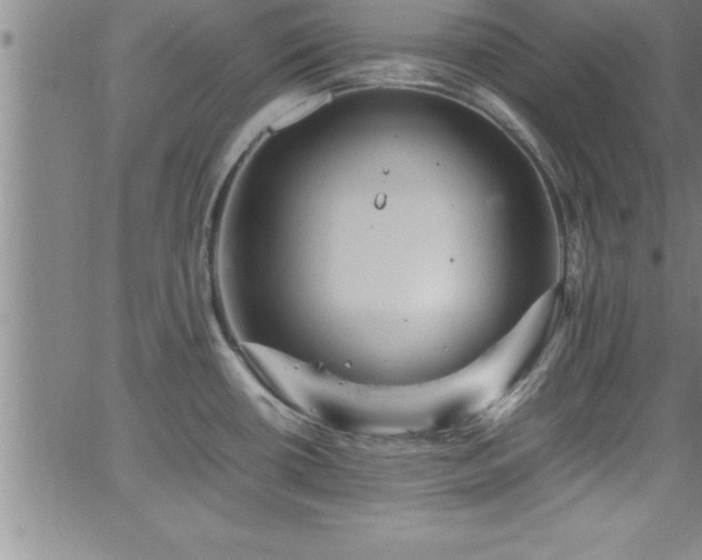 X0000065981434200603061203