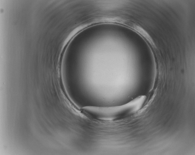 X0000065981436200603061203