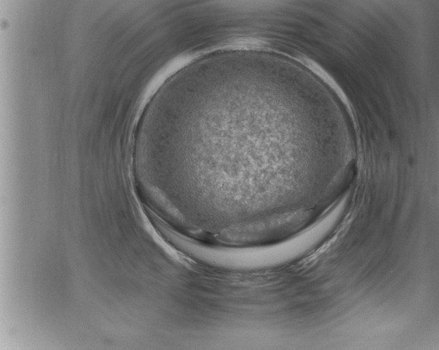 X0000065981437200603061203