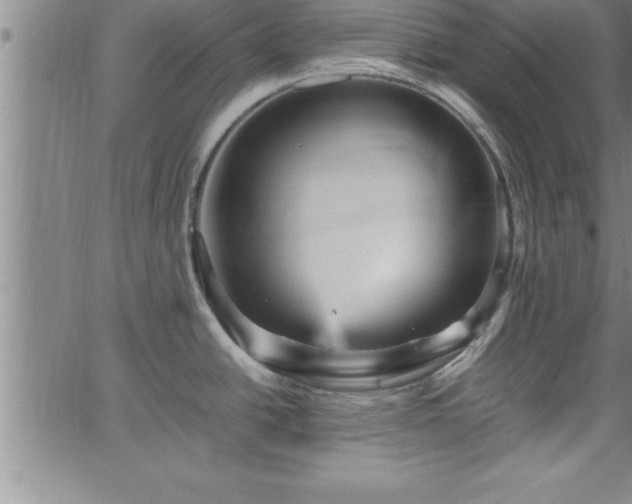 X0000065981438200603061203