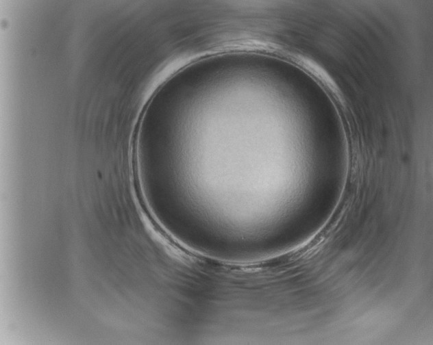 X0000065981439200603061203