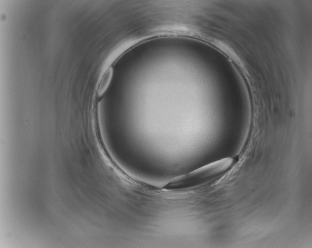 X0000065981440200603061203