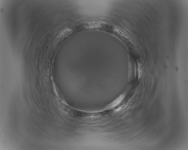 X0000065981441200603061203