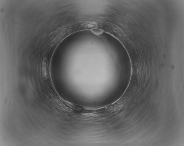 X0000065981442200603061202