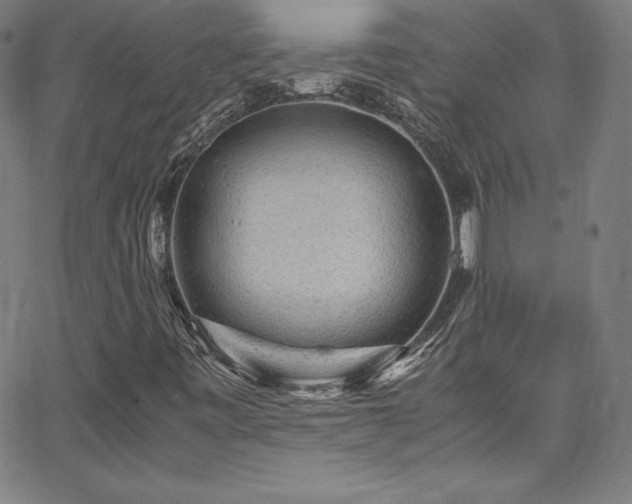 X0000065981443200603061202