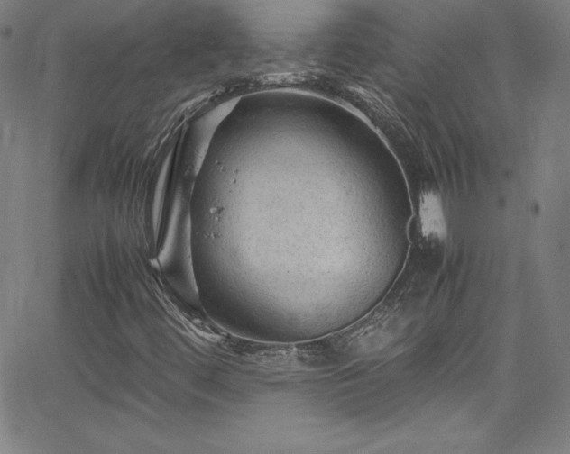 X0000065981444200603061202