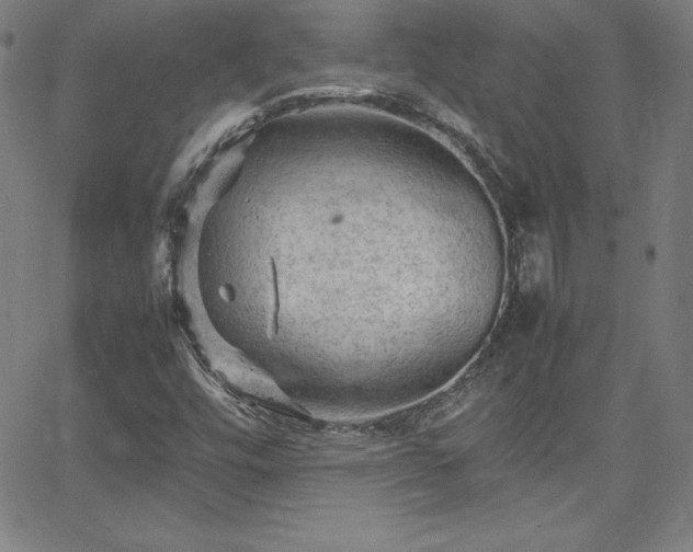 X0000065981448200603061202