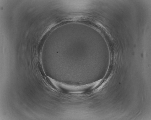 X0000065981449200603061202