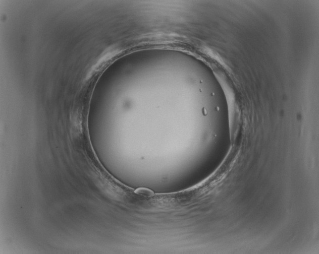 X0000065981451200603061202