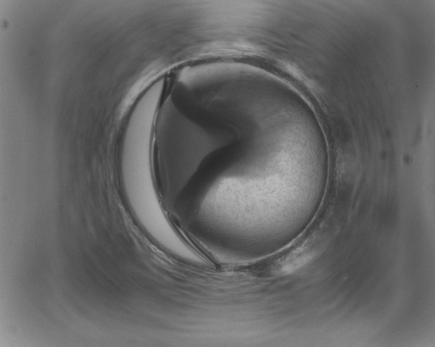 X0000065981459200603061202